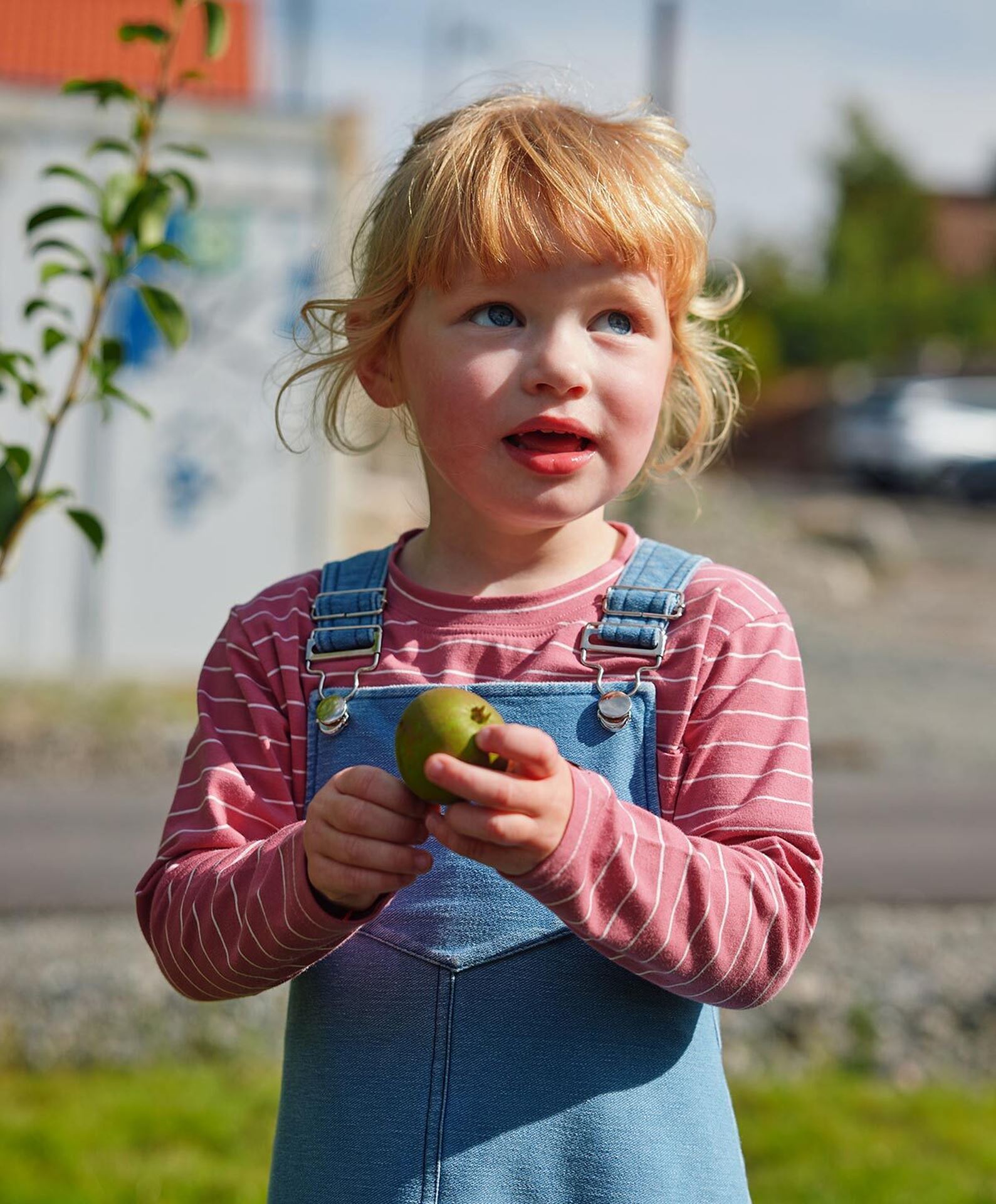 Gullkorn Titan Genser Rødlilla