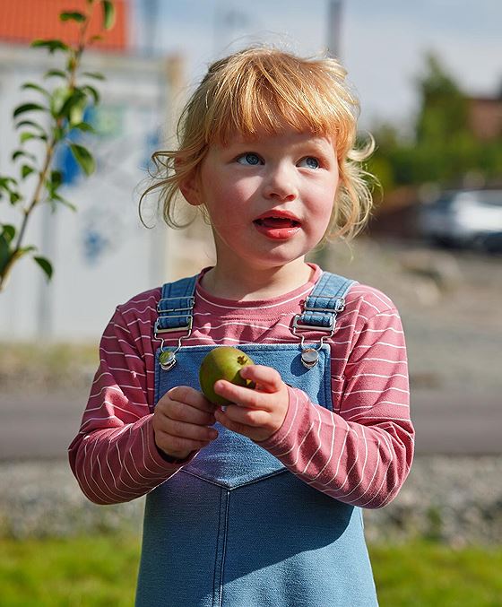Gullkorn Titan Genser Rødlilla